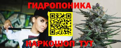 индика Мариинск