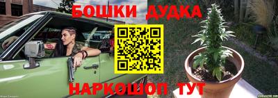 индика Мариинск